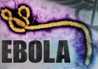 WHO: ‘Oeganda bevestigt nieuwe ebolagevallen’