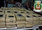 151 kg vermoedelijk marihuana of hasj en medicamenten onderschept