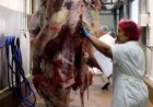 Keuren van vlees ook verplicht tijdens Eid al-Adha