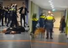 Ophef In Nederland Na Arrestatie Van Zwangere Vrouw