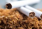 Tabak eist jaarlijks ruim 500 levens in Suriname; schade SRD 508 miljoen