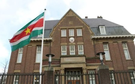 Netwerkbijeenkomst verbindt diaspora en ondernemers in Amsterdam