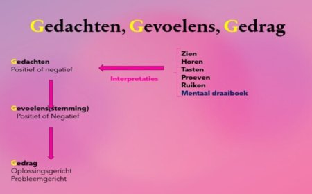 Ons wonderbaarlijk brein (15)