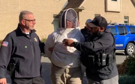 6 maanden cel voor imker in VS die vrachtwagen vol bijen opende bij huisuitzetting: agenten g