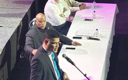 Suriname, diaspora en de toekomst: drie lijnen voor duurzame ontwikkeling