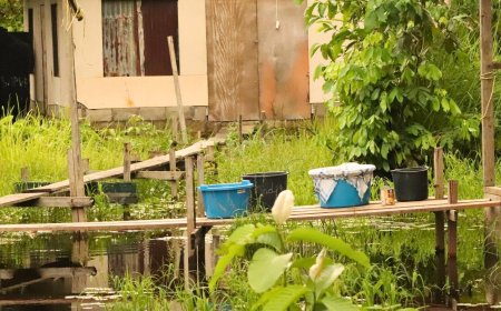 Onmenselijke situatie Tawajaripolderweg verergert door wateroverlast