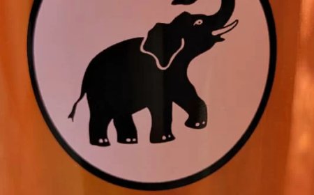 Glenn Paul Oehlers benoemd tot VHP-nieuwe voorzitter