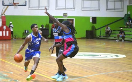Game 2 basketbal halve finale: Guard-tandem La Rose/Brondenstein goud waard voor De Arend