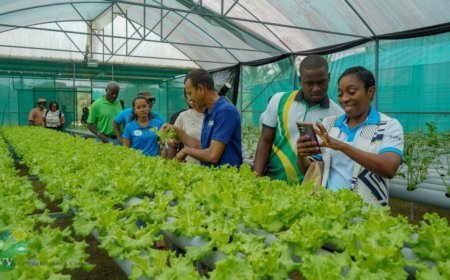 Suriname en Barbados gaan voor intensievere landbouwsamenwerking