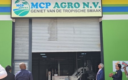 Suriname en India versterken samenwerking met fruitverwerkingsproject