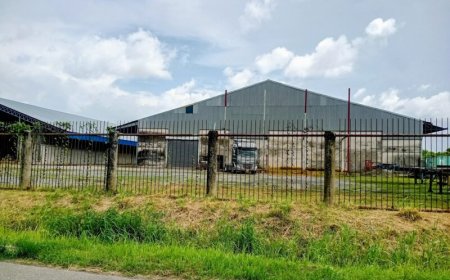 Vijf jaar na ammoniumnitraatramp Beiroet: weinig gedaan met veiligheidsadviezen