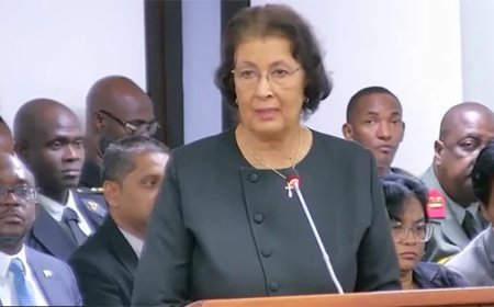 President Simons ziet grote invloed van social media op parlementair werk