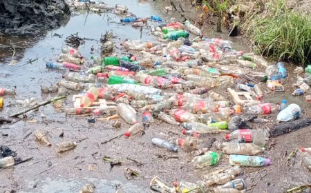 OWRO: stop met dumpen van afval in trenzen