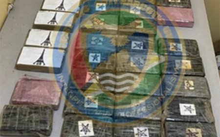 Surinamer en Guyanees opgepakt met ruim 45 kilo cocaïne en vuurwapen