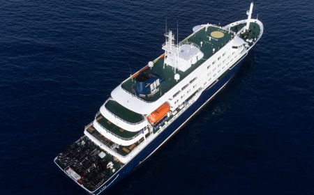 Dodelijk hantavirus op cruiseschip: landen bereiden evacuatie passagiers voor