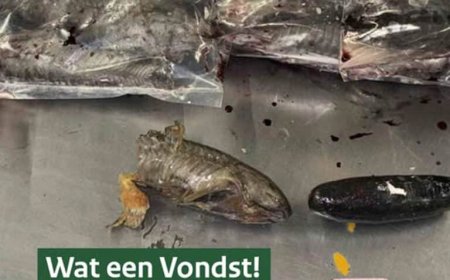 ZO LEK ALS EEN MANDJE