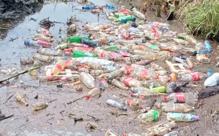 OWRO stuit op koelkasten en matrassen in trenzen tijdens schoonmaakactie