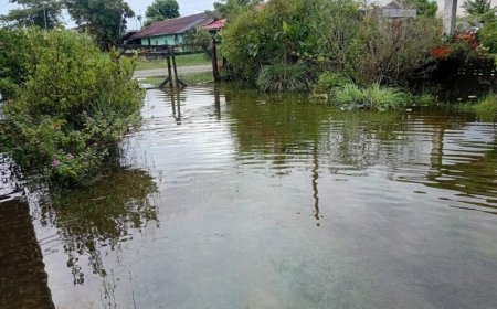 Aanhoudende regen zorgt voor wateroverlast in diverse gebieden