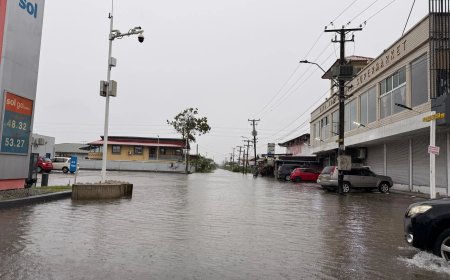 Zware regenval legt wijken en scholen plat: burgers kampen met wateroverlast en gezondheidsri