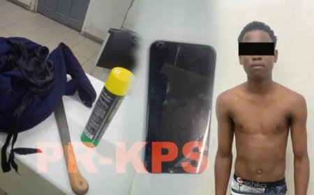 Jongen (17) opgepakt voor ernstige mishandeling van een poes