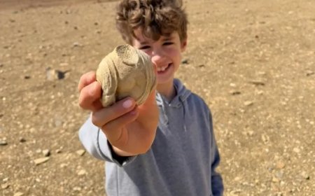 Achtjarige jongen ontdekt 1.700 jaar oud beeldfragment in Negevwoestijn