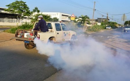 BOG voert bespuitingen uit in Blauwgrond vanwege Chikungunya-bestrijding
