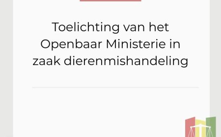 Toelichting OM in zaak mishandeling en doden poes