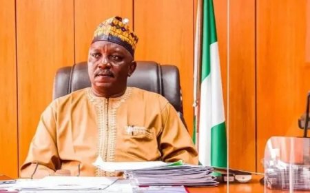 Oud-minister Nigeria krijgt 75 jaar cel voor miljardenfraude