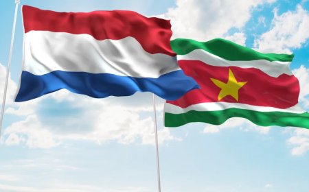 VSN: Overheden reageren al jaren niet op verzoeken