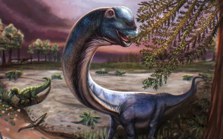 Gigantische resten van dinosaurus van 27 ton ontdekt in Thailand
