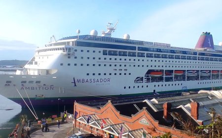 Opnieuw norovirus op cruiseschip: één dode, 1700 mensen in quarantaine