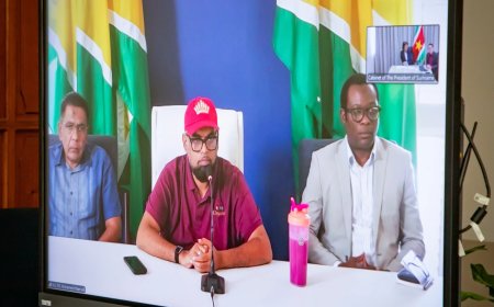 President Simons voert online gesprek met Guyanese collega Ali over klimaatverandering en wat