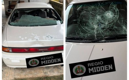 19-jarige vrouw in verzekering gesteld voor vernielen auto met bijl en brandstichting in woni