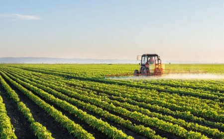 Regering zet in op modernisering landbouwsector