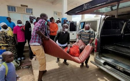 WHO: Ebola-uitbraak in Congo en Oeganda internationale noodsituatie