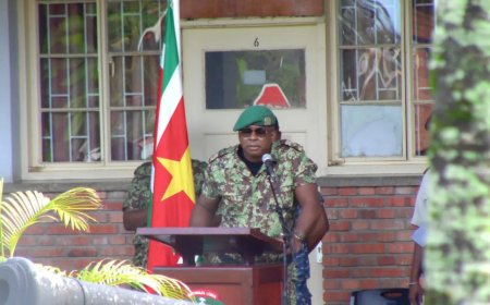 Luitenant-kolonel Rodney Menig neemt commando Landmacht over