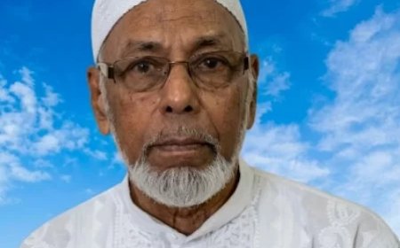 In Memoriam: Toyabali Ahmadali