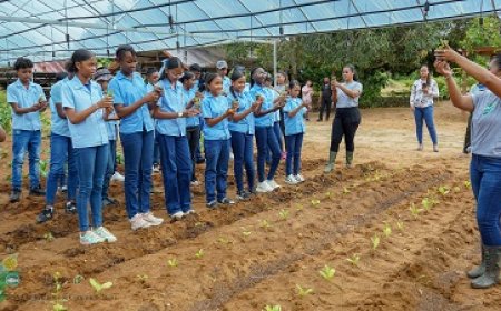 LVV viert Wereld Plantendag met landbouweducatie voor scholieren
