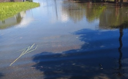 Pompen moeten wateroverlast beperken