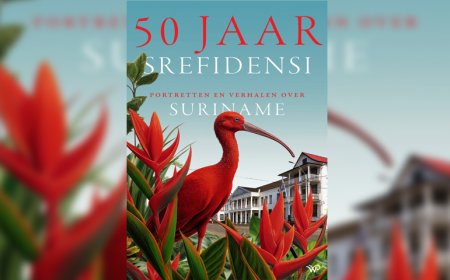 Boekrecensie: Veel interviews, weinig diepgang