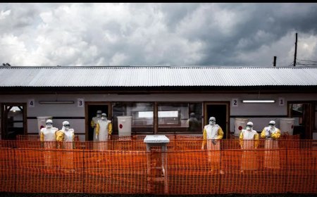 Ebola-uitbraak toont kwetsbaarheid wereldgezondheid