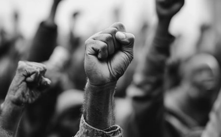Democratie met een rapportcijfer van 4,2  