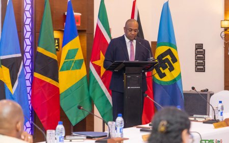 Bouva wil sterkere internationale positie voor CARICOM