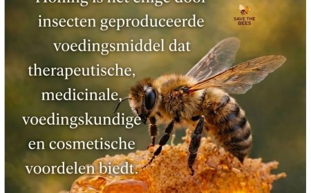 LVV vraagt aandacht voor bescherming van bijen