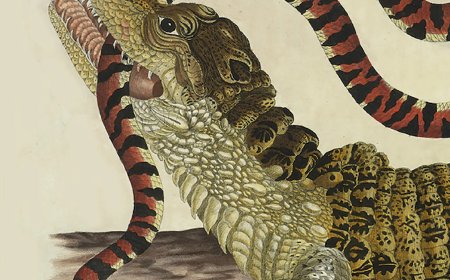 Lezen & Lunchen: Waarom ‘Toen de Val’ van Iraida Ooft je aan tafel krijgt