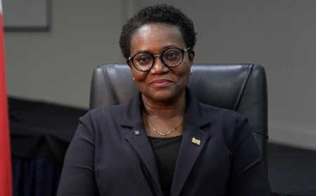 Wijnerman: Suriname heeft tekortkomingen zelf aangegeven bij IMF