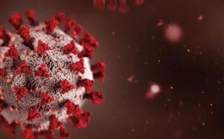 India stelt Afrika-top uit wegens angst voor Ebola-uitbraak