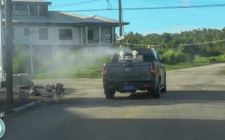 BOG breidt Chikunyabestrijding uit in Blauwgrond