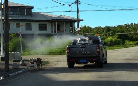 Misiekaba begrijpt commotie over gebruik chemicaliën tegen chikungunya niet