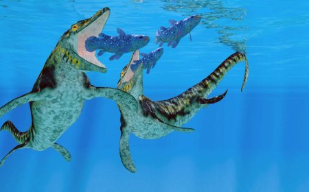 Gigantisch zeemonster ontdekt als ‘T-Rex van de oceaan’